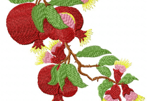 Pomegranate Fruits Embroidery Design